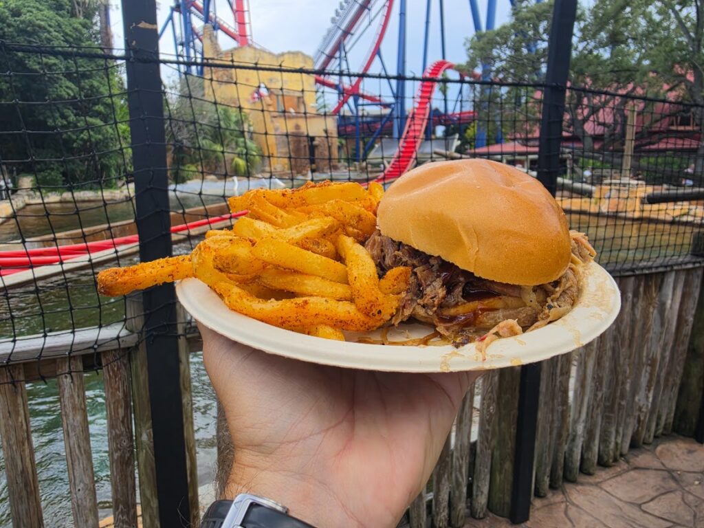 Pulled pork sandwich served with seasoned French fries on a paper plate, held in hand near a theme park roller coaster.
