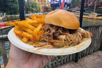 Barbecue pulled pork sandwich and seasoned fries held on a plate in front of a red roller coaster track.