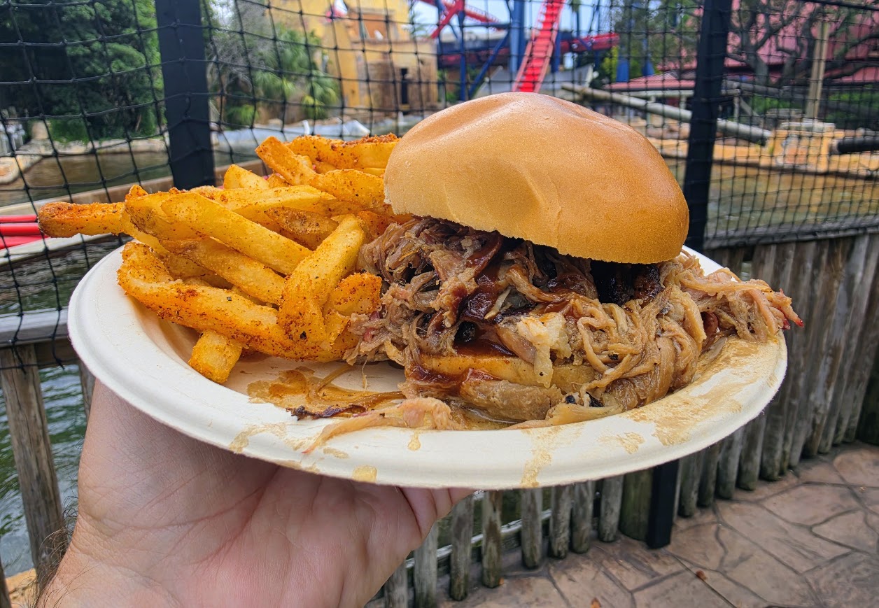 Barbecue pulled pork sandwich and seasoned fries held on a plate in front of a red roller coaster track.