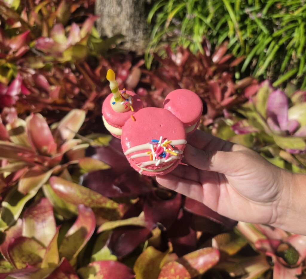 Mickey Celebration Macaron
