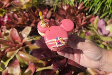 Mickey Celebration Macaron