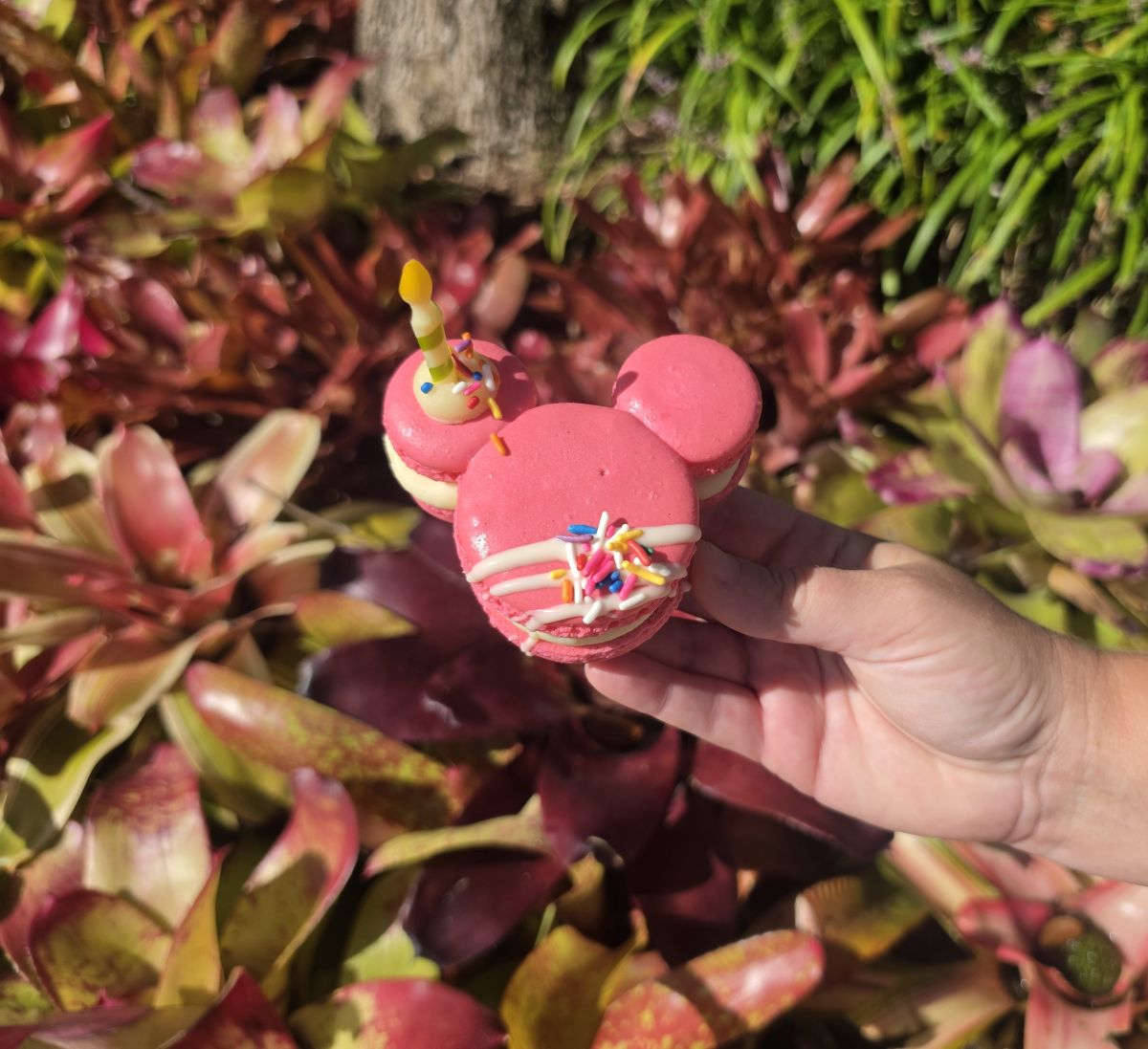 Mickey Celebration Macaron