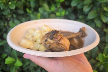 A hand holds a disposable plate featuring a chicken drumstick in mushroom gravy served alongside a portion of small, soft potato gnocchi dumplings.
