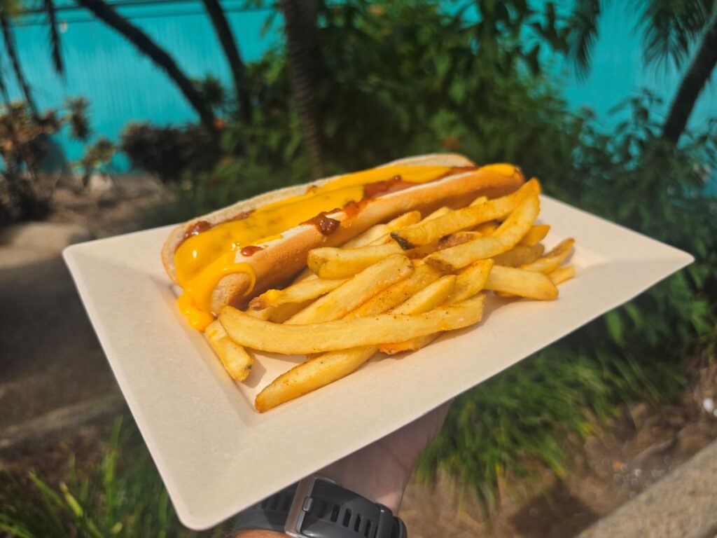 Foot-long Nathan's hot dog seen with chili and cheese