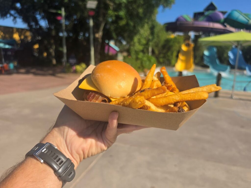 A hand holds a cardboard tray containing a cheeseburger and golden french fries, with a blurred water park and colorful slides in the background.