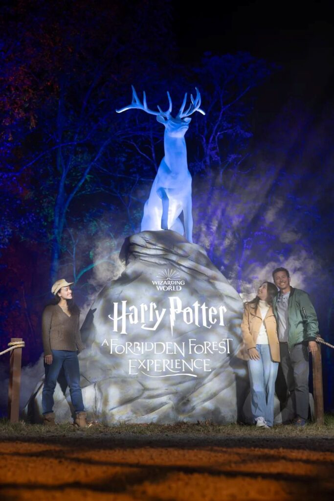 Harry Potter Forbidden Forest Experience