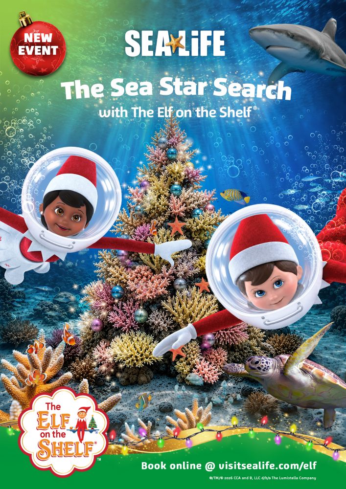 Sea Star Search promotional image