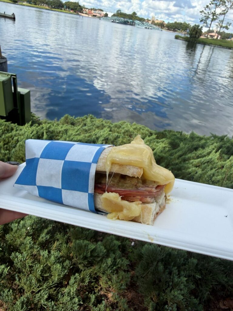 Warm Raclette Swiss Cheese Epcot