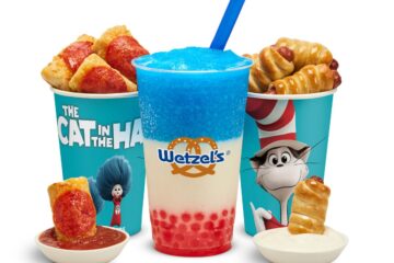 Wetzel's Cat in the Hat Lemonade Freeze